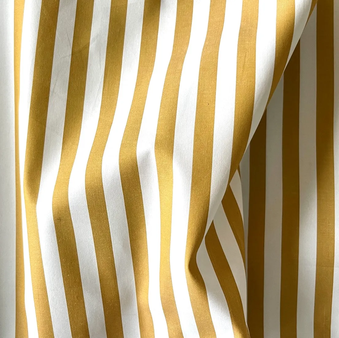 Handsome Tarnished Gold & White Striped Cotton Poplin Shirting