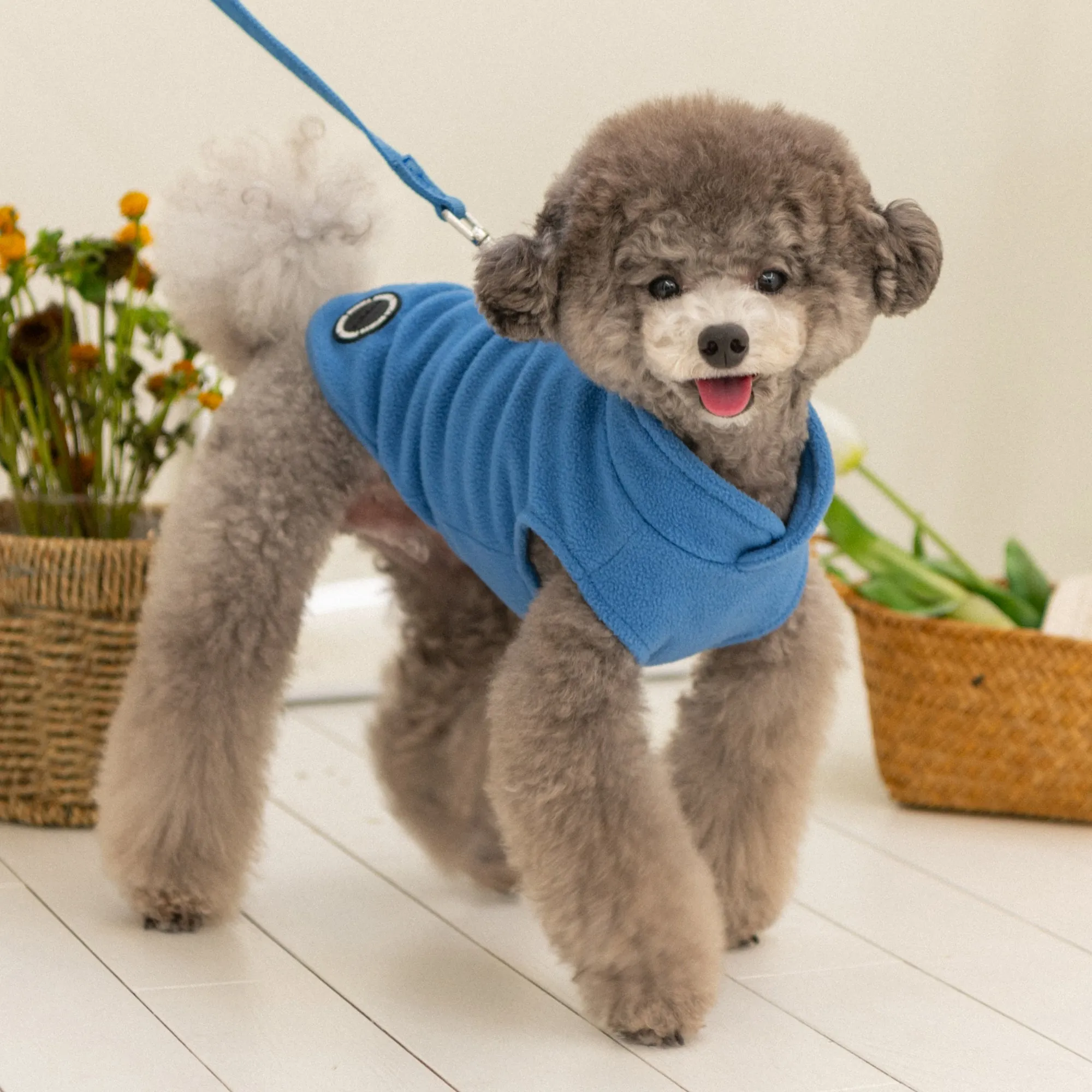 lucius harness fleece sweater - royal blue