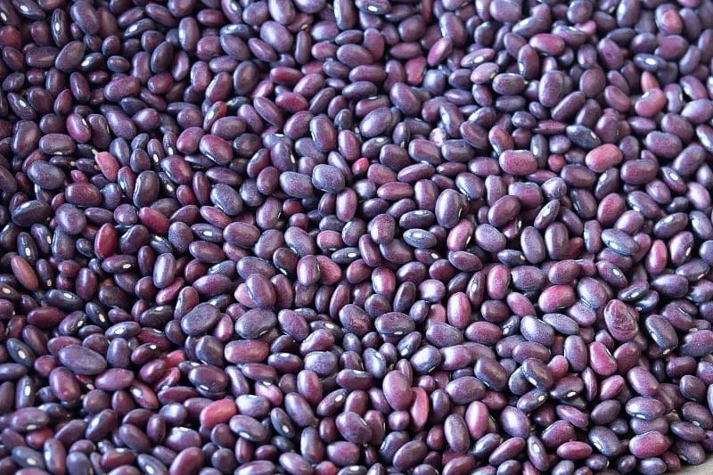 Rancho Gordo Domingo Rojo Beans 1 lb