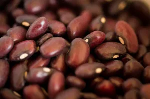 Rancho Gordo Domingo Rojo Beans - 1 lb.